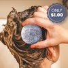 CLEARANCE SALE - $1.00 Ocean Mist Shampoo Bar